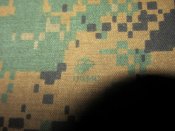 IMG_1913.jpg