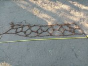 IMG_20200910_174330.jpg