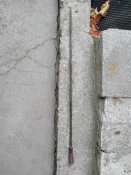 IMG_20200912_063753.jpg