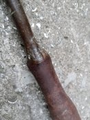 IMG_20200912_063805.jpg
