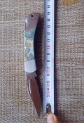 IMG_20200912_101408.jpg