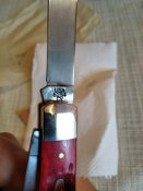 IMG_20200912_130810.jpg