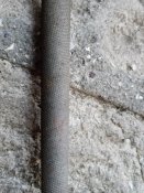 IMG_20200913_070410.jpg
