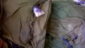 WP_20200913_11_23_54_Pro.jpg