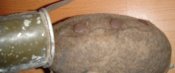 DSC04590.JPG