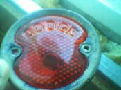 SP_A0248.jpg