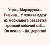 изображение_viber_2020-09-13_17-33-38.jpg