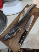 IMG_20200913_202137.jpg