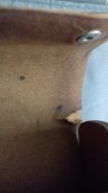 2eff330cae96197d7eb4080c30200a75.jpg