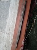 IMG_20200914_064716.jpg