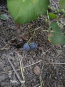 IMG_20200914_102516.jpg