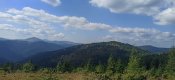 IMG_20200913_131354.jpg