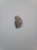 IMG_20200914_175414.jpg