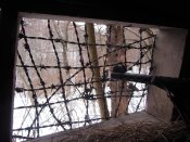 IMG_1022.jpg