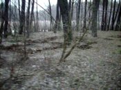 102_0352.MOV_000037790.jpg