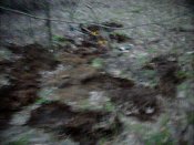 102_0352.MOV_000044243.jpg
