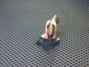 100_7221.JPG
