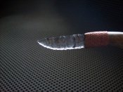 100_7226.JPG