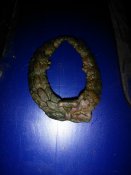 IMG_20200824_213848.jpg