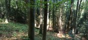 IMG_20200916_122354.jpg