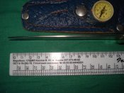 DSC08585.jpg