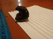 IMG_20200917_061609.jpg