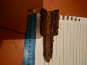 IMG_20200917_061404.jpg