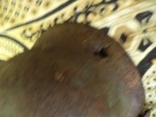 DSC08736.JPG