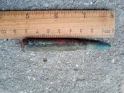 IMG_20200918_065034.jpg