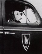 Nachtjagd badge 02_jpg.jpg
