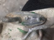 20200919_081723.jpg