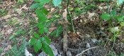 IMG_20200919_155702.jpg