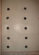 DSC07351.JPG