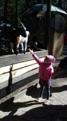 IMG-e69cbcd3f432c7a130f47fb3946011dc-V.jpg