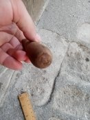 IMG_20200920_065832.jpg