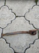 IMG_20200907_120427.jpg