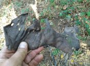IMG_20200919_152831.jpg