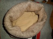 SAM_0904.jpg
