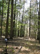 IMG_1186.JPG
