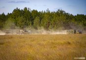 img_3382.jpg