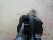 IMG_3985.jpg