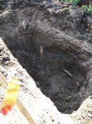 IMG_20200922_155836_1.jpg