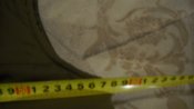 DSCN8114.JPG