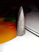 IMG_20200923_000642.jpg