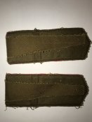 3815B438-B05D-4E2C-AEA0-75188D7D696D.jpeg