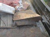 IMG_20200923_073024.jpg