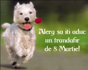 078807800117330328145ef2ff1c0680178625140.jpg