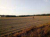 IMG_20200923_172936.jpg