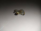 IMG_20200925_053848.jpg