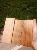 IMG_20200610_130020.jpg